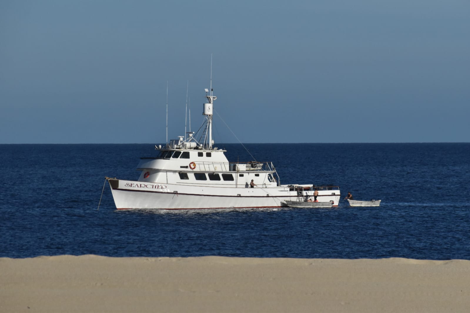 Searcher Offshore Cabo San Lucas